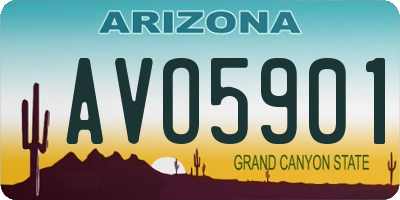 AZ license plate AVO5901