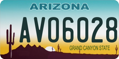 AZ license plate AVO6028