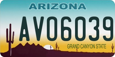 AZ license plate AVO6039