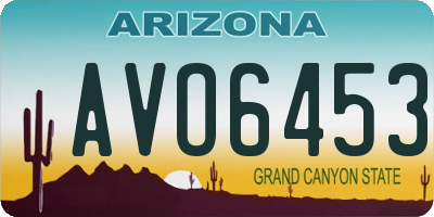 AZ license plate AVO6453