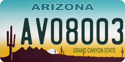 AZ license plate AVO8003