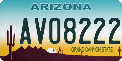 AZ license plate AVO8222