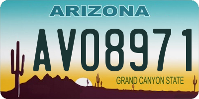 AZ license plate AVO8971