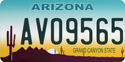 AZ license plate AVO9565