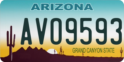 AZ license plate AVO9593