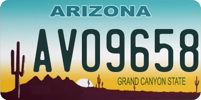 AZ license plate AVO9658