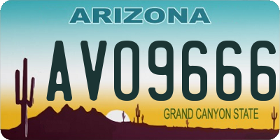 AZ license plate AVO9666