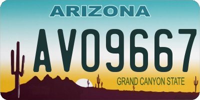 AZ license plate AVO9667