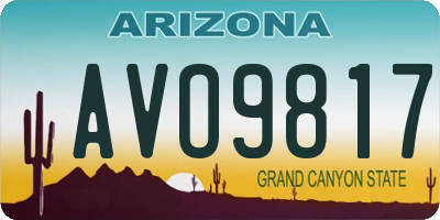 AZ license plate AVO9817