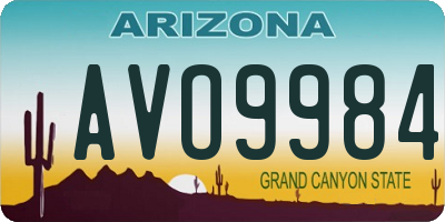 AZ license plate AVO9984