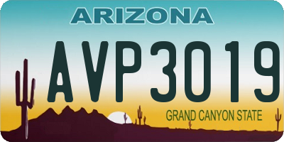 AZ license plate AVP3019