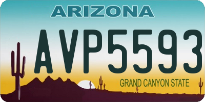 AZ license plate AVP5593