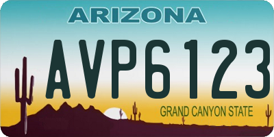AZ license plate AVP6123