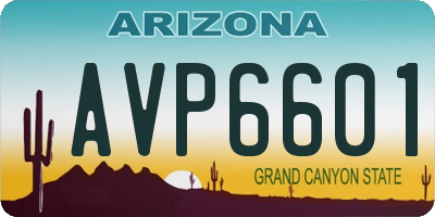 AZ license plate AVP6601