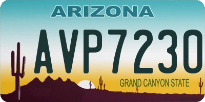 AZ license plate AVP7230