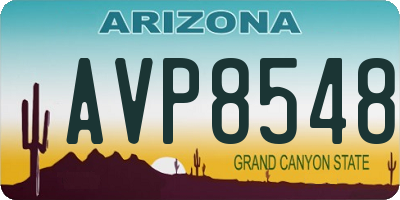 AZ license plate AVP8548