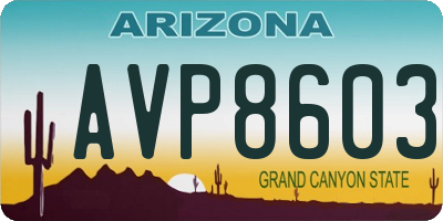 AZ license plate AVP8603