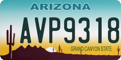 AZ license plate AVP9318