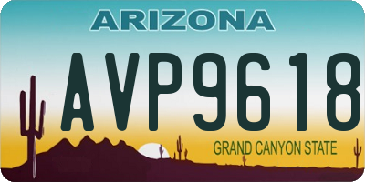 AZ license plate AVP9618
