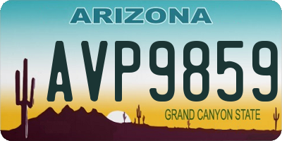 AZ license plate AVP9859