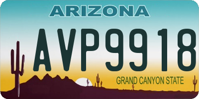 AZ license plate AVP9918