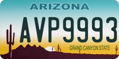 AZ license plate AVP9993