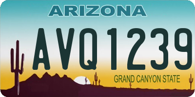 AZ license plate AVQ1239