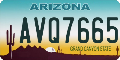 AZ license plate AVQ7665