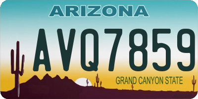 AZ license plate AVQ7859