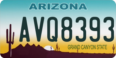 AZ license plate AVQ8393