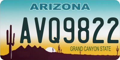 AZ license plate AVQ9822