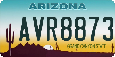 AZ license plate AVR8873