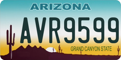 AZ license plate AVR9599