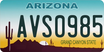 AZ license plate AVS0985