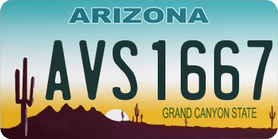 AZ license plate AVS1667