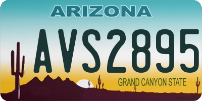 AZ license plate AVS2895