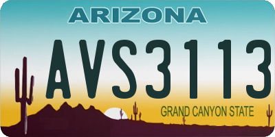 AZ license plate AVS3113