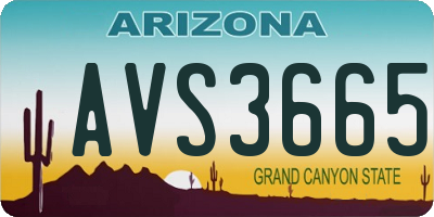 AZ license plate AVS3665