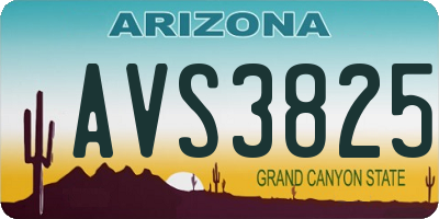 AZ license plate AVS3825