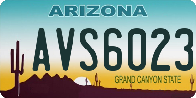 AZ license plate AVS6023