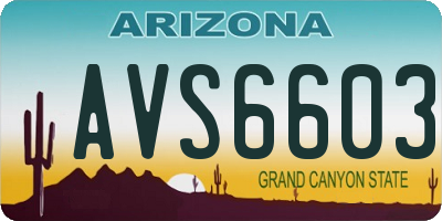AZ license plate AVS6603