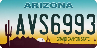 AZ license plate AVS6993