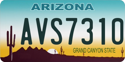 AZ license plate AVS7310