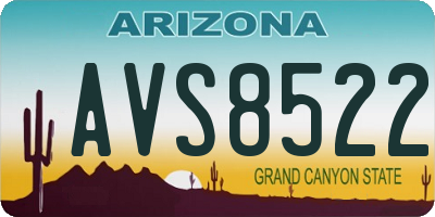 AZ license plate AVS8522