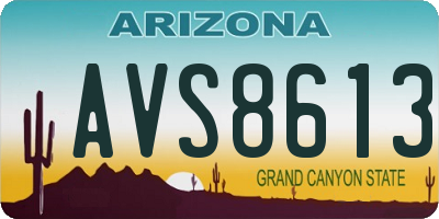 AZ license plate AVS8613