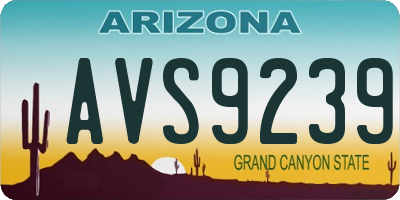 AZ license plate AVS9239