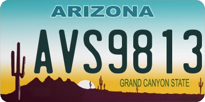 AZ license plate AVS9813
