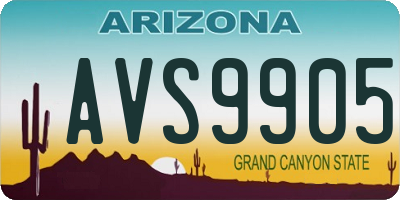 AZ license plate AVS9905