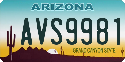 AZ license plate AVS9981
