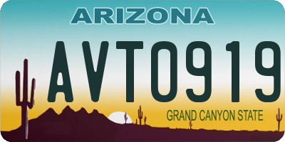 AZ license plate AVT0919